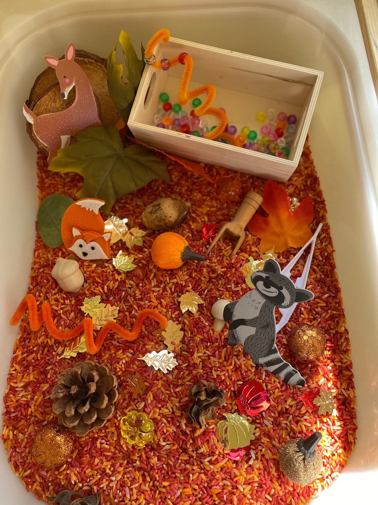 Little Learners Autumn Kit