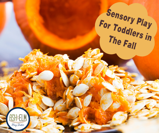 Sensory Play For Toddlers in The Fall