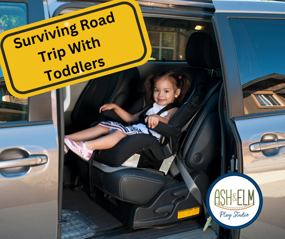 Surviving Road Trip With Toddlers