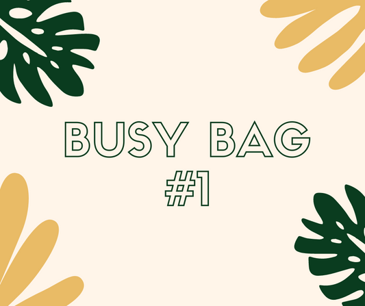 Busy Bag #1