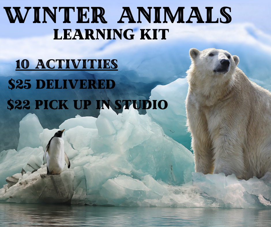 Winter Animal Learning Kit