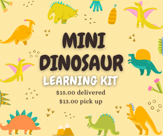 Mini Dinosaur Learning Kit
